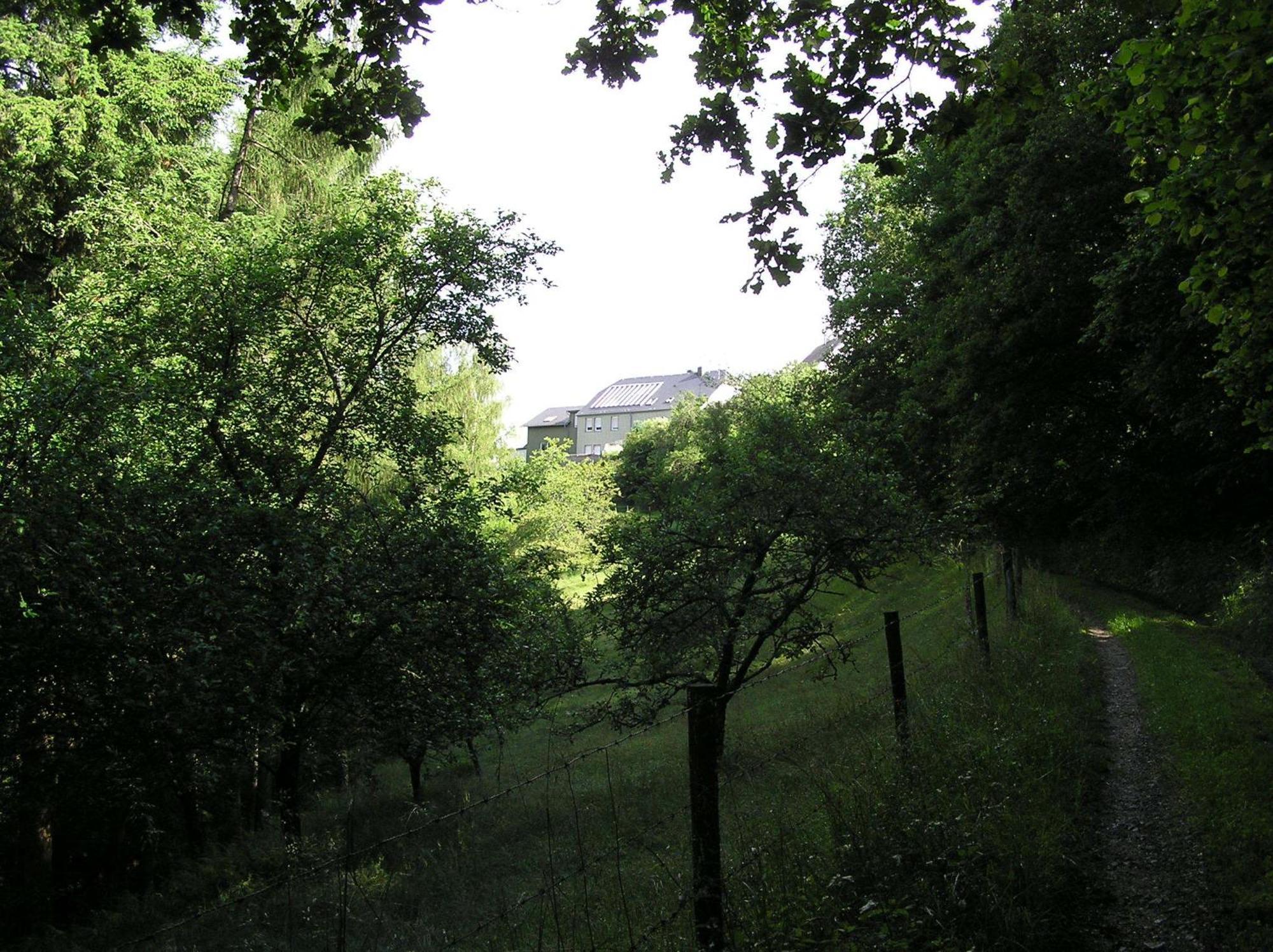 Ferienwohnung Nisius Geisfeld  Exteriör bild